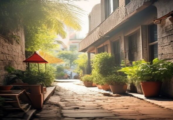 SEO Ranking Search Organic - apps y herramientas